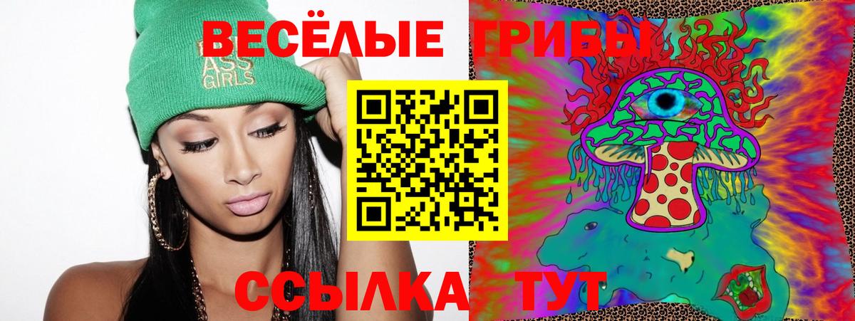 Кыштым  Псилоцибиновые грибы прущие грибы  Вход с VPN 